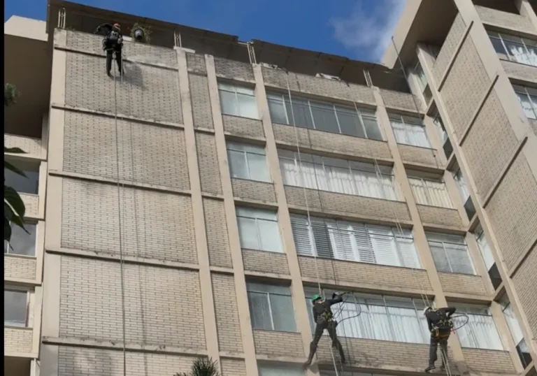 pressure-washing-carousel-6